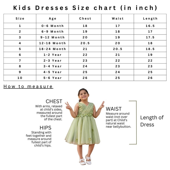 Girls Multicolor Applique Feather Sleeve Party Dress