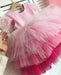 Girls Multicolor Applique Feather Sleeve Party Dress